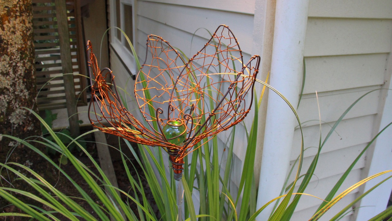 Photo of Outdoor in Gisborne