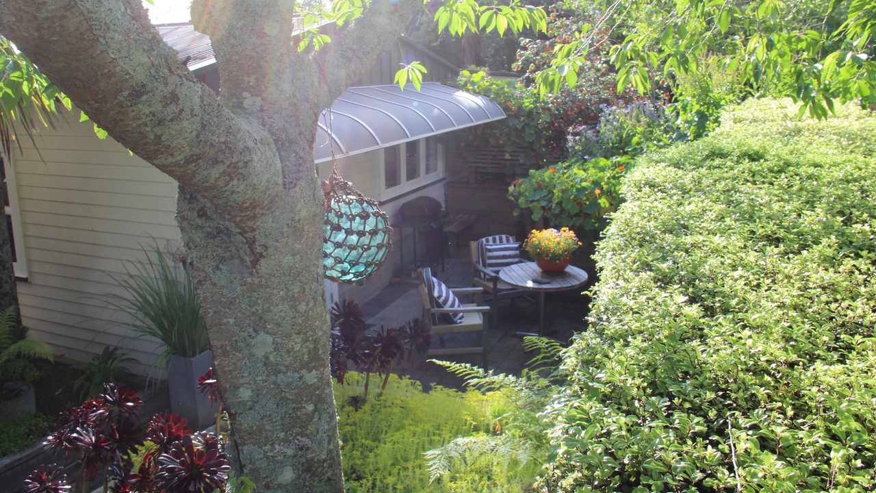 Photo of Outdoor in Gisborne
