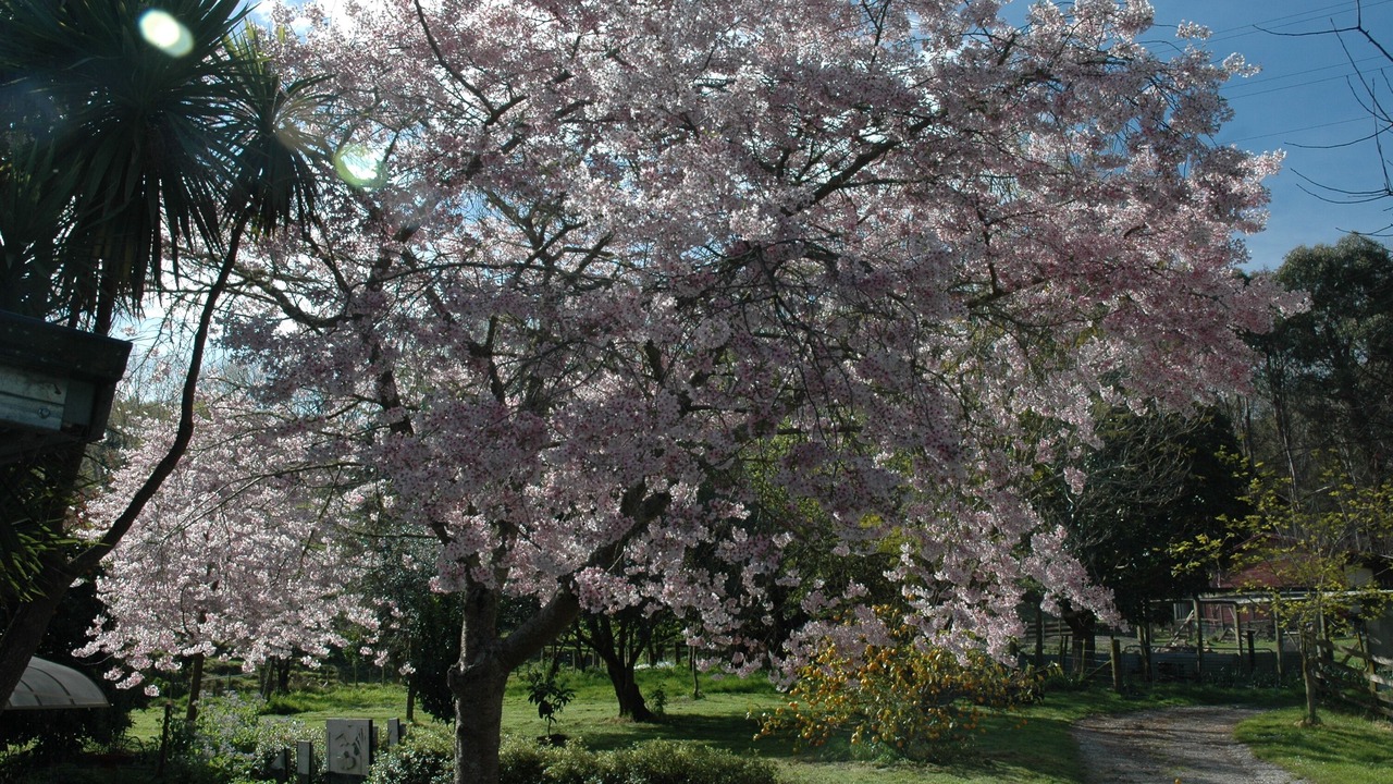 Photo of Outdoor in Gisborne
