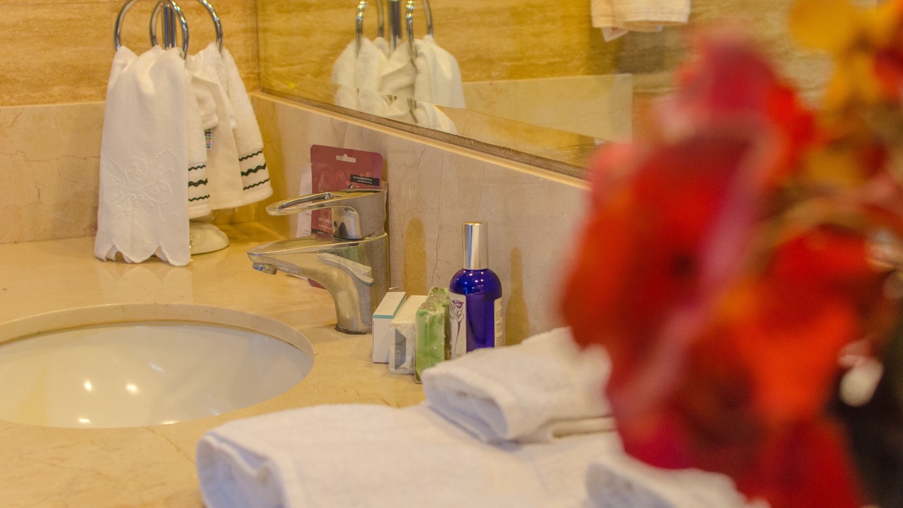 Photo of Bathroom in Escazu