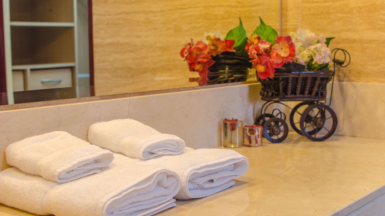 Photo of Bathroom in Escazu
