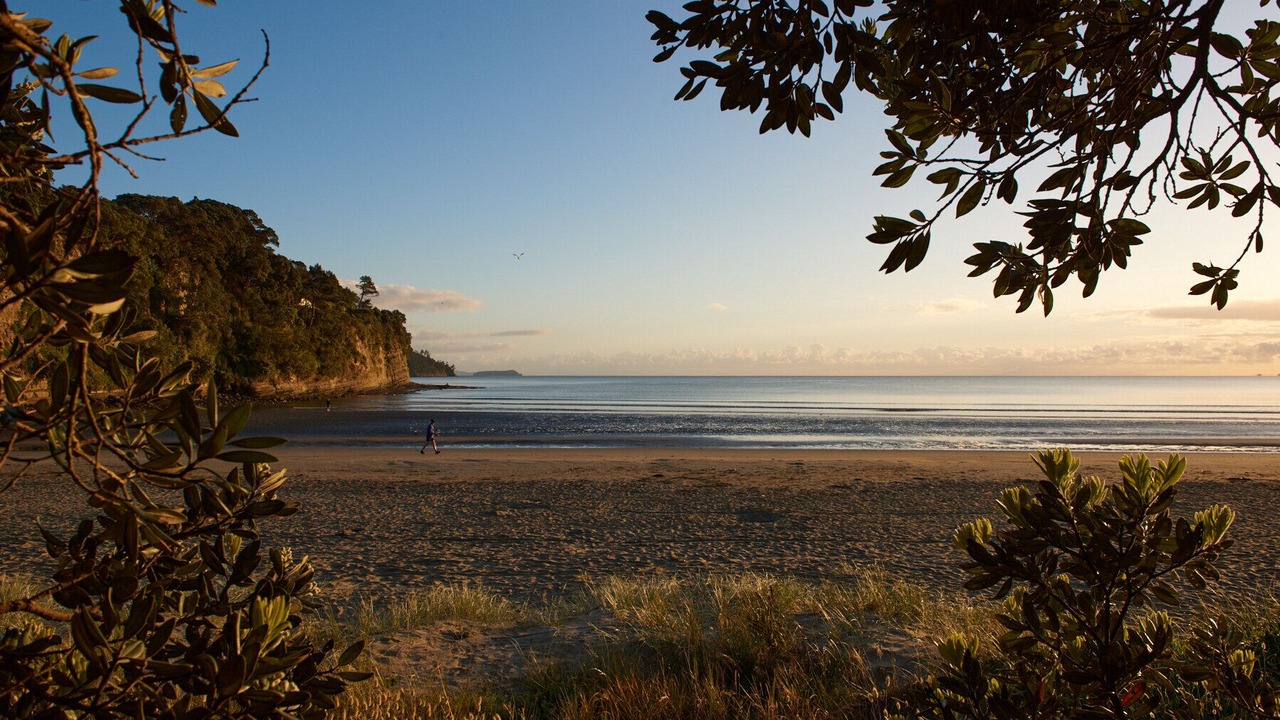 Photo of Others in Orewa