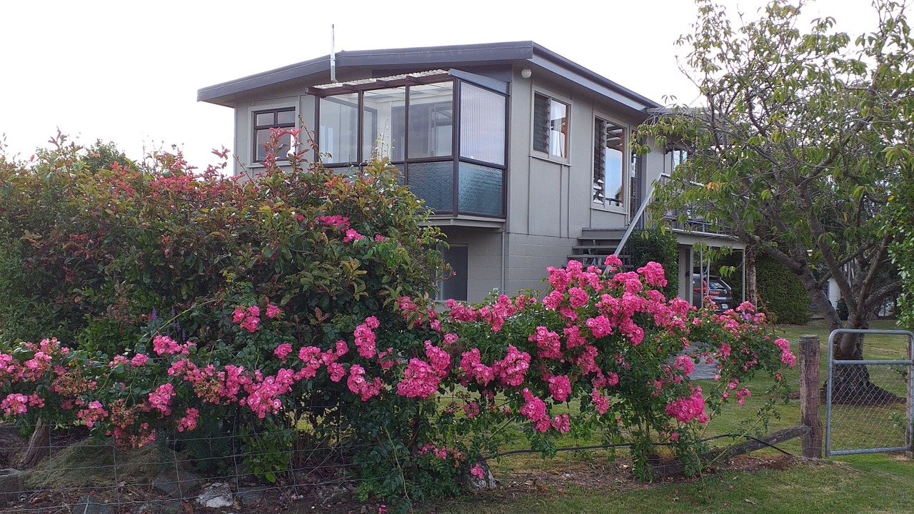Photo of Outdoor in Manapouri
