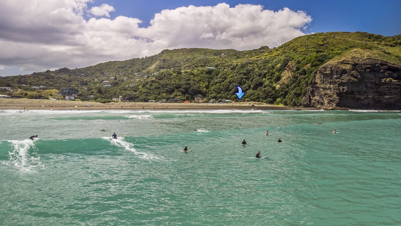 Photo of Others in Piha