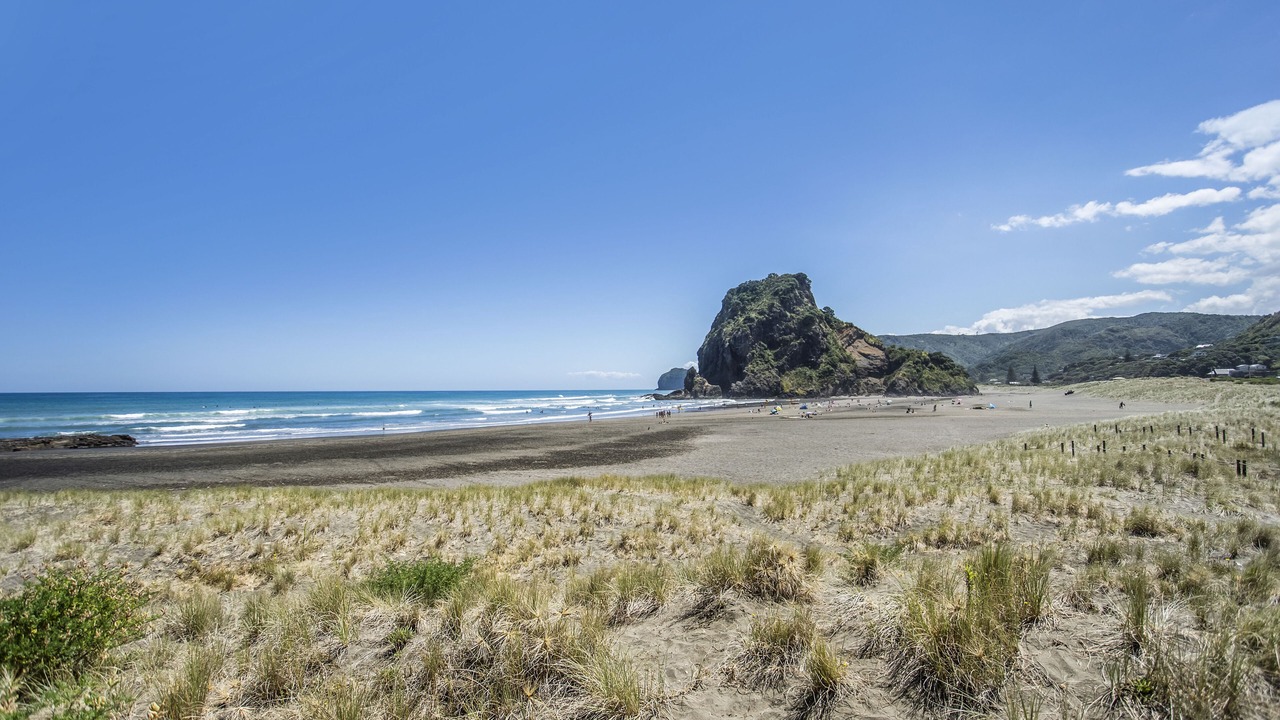 Photo of Others in Piha