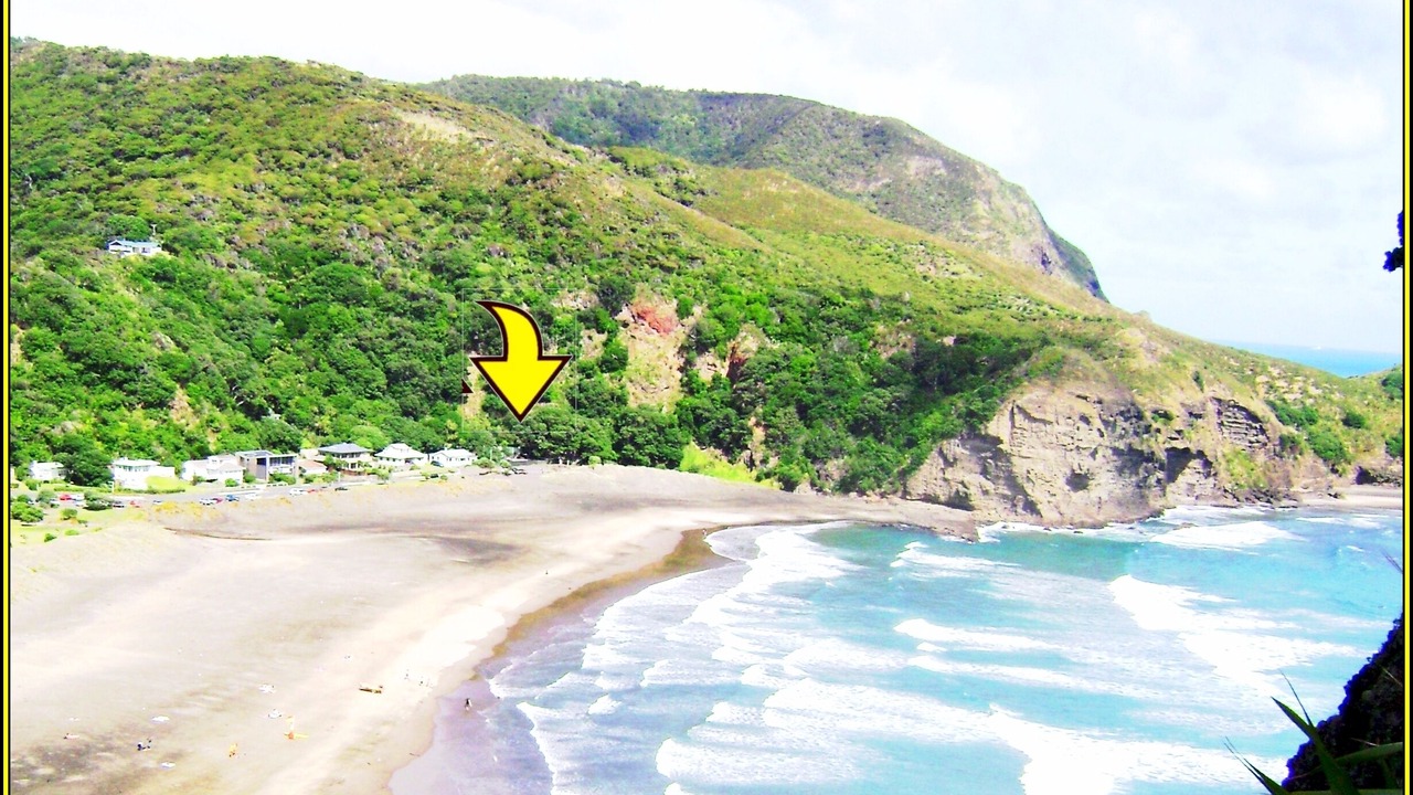Photo of Others in Piha