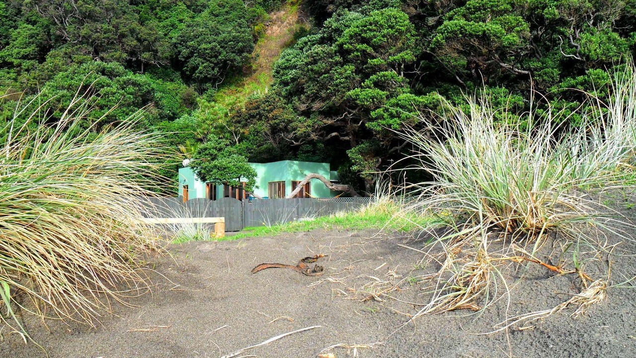 Photo of Outdoor in Piha