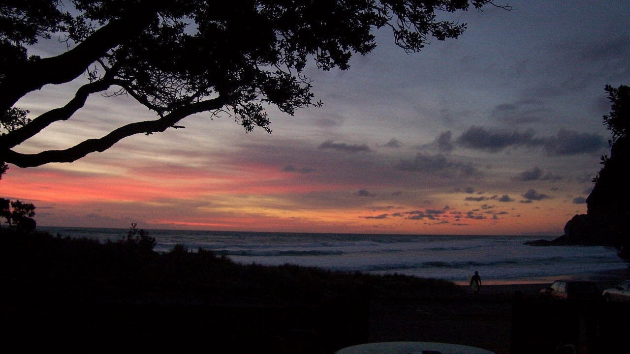 Photo of Others in Piha