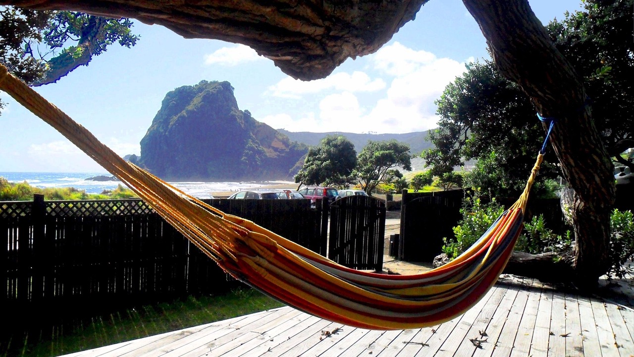 Photo of Others in Piha
