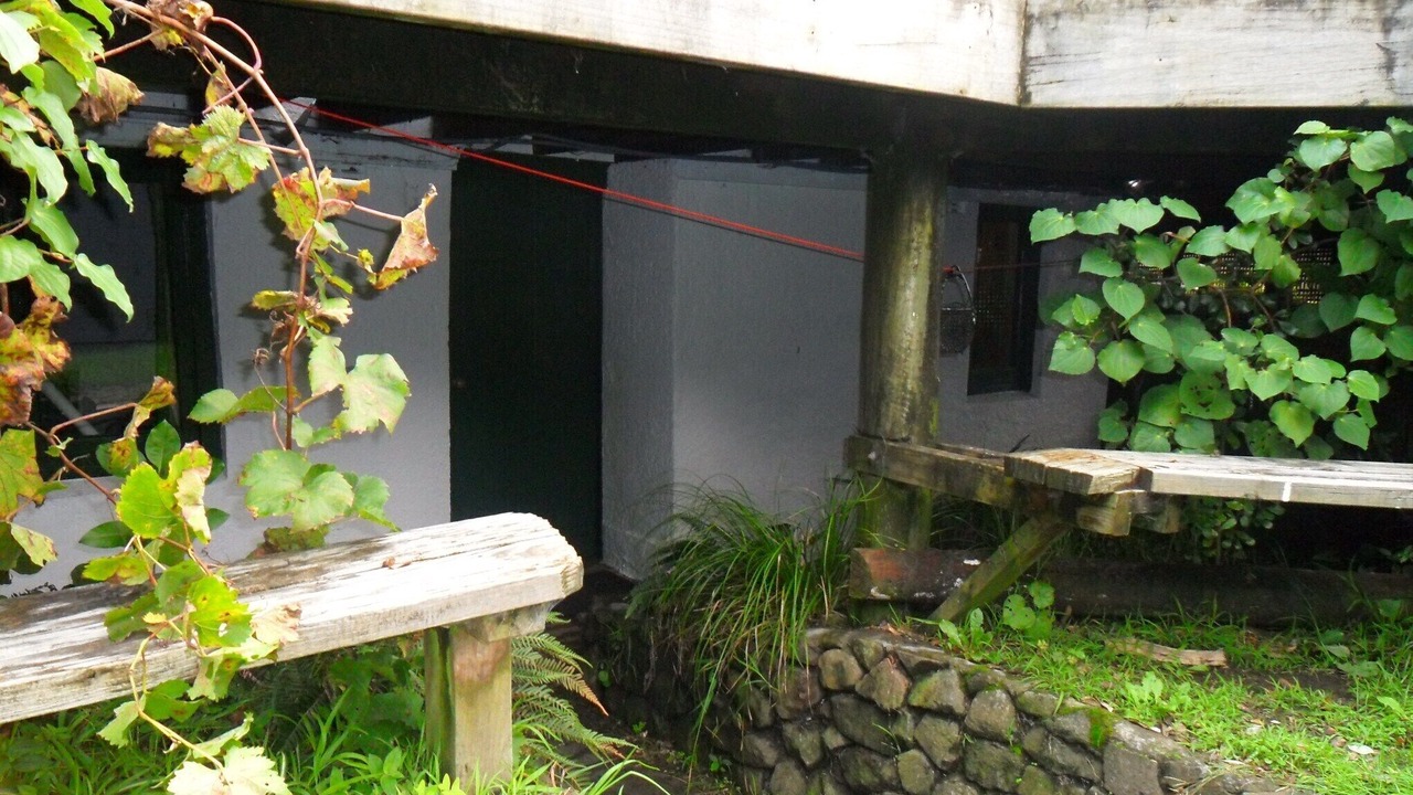 Photo of Others in Piha