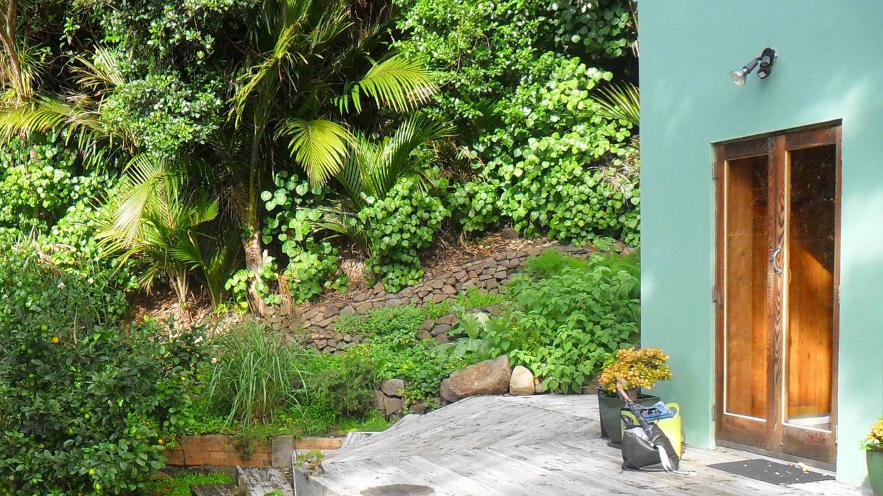 Photo of Outdoor in Piha