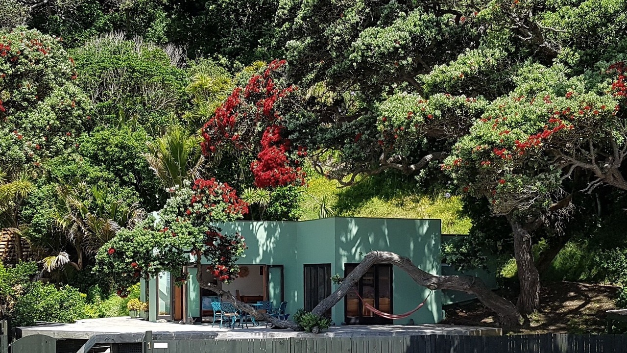 Photo of Outdoor in Piha