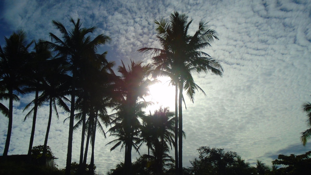 Photo of Others in Rio Seco