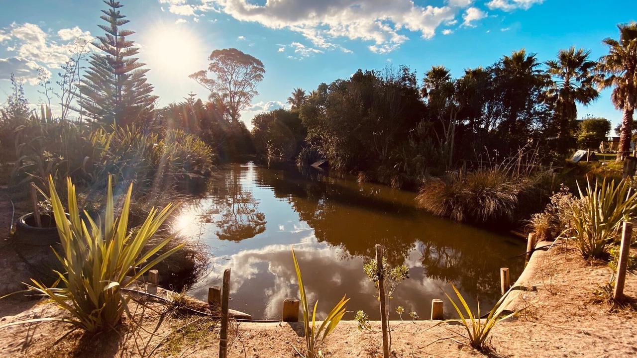 Photo of Outdoor in Whakamarama