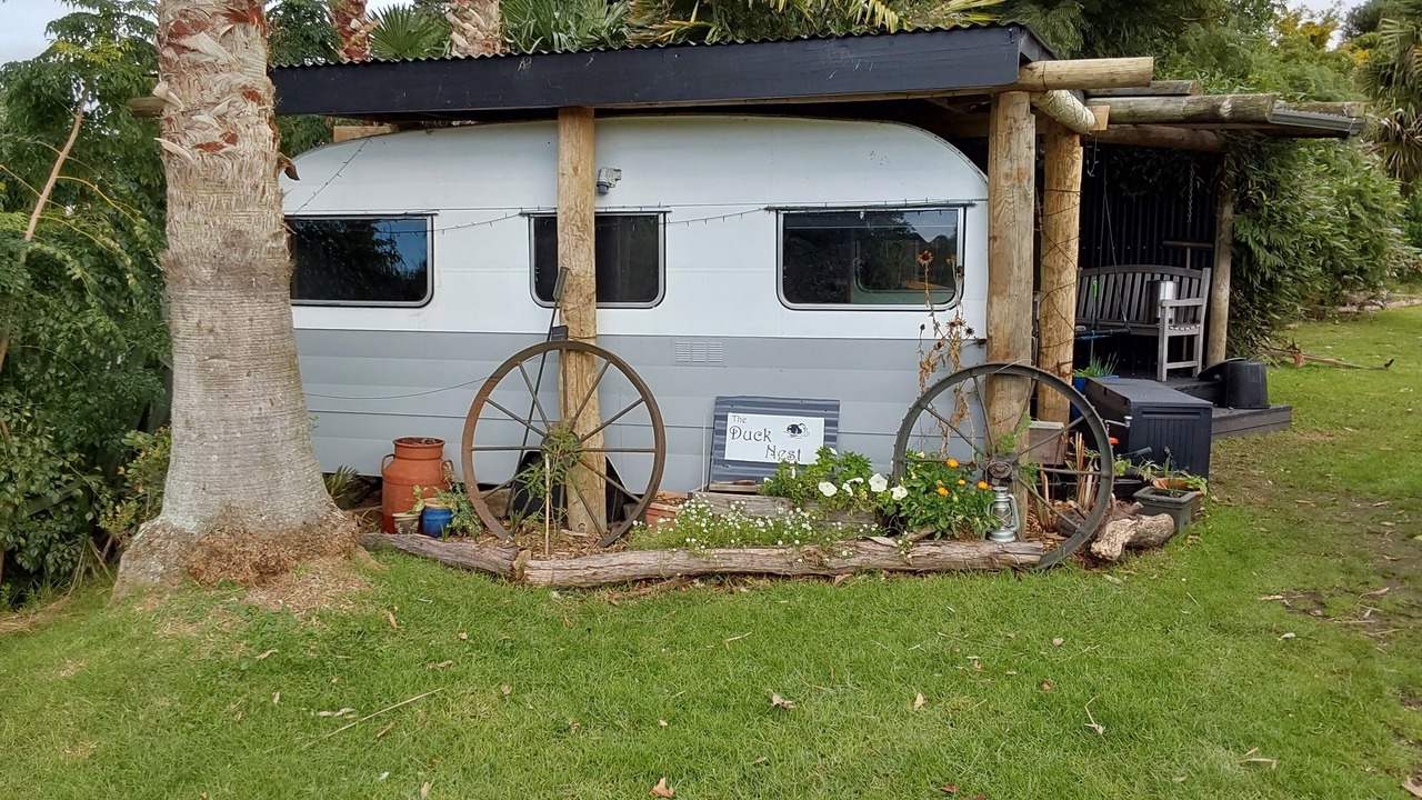 Photo of Outdoor in Whakamarama