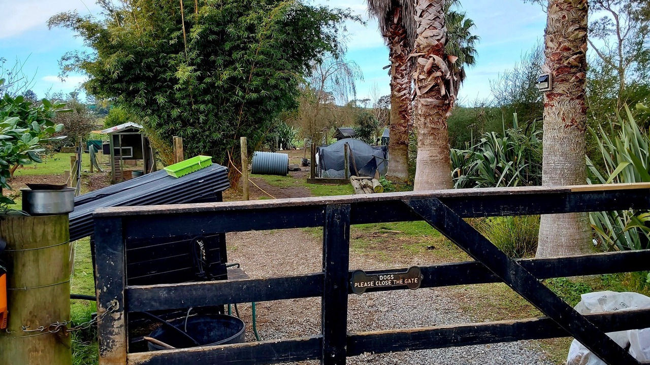 Photo of Outdoor in Whakamarama
