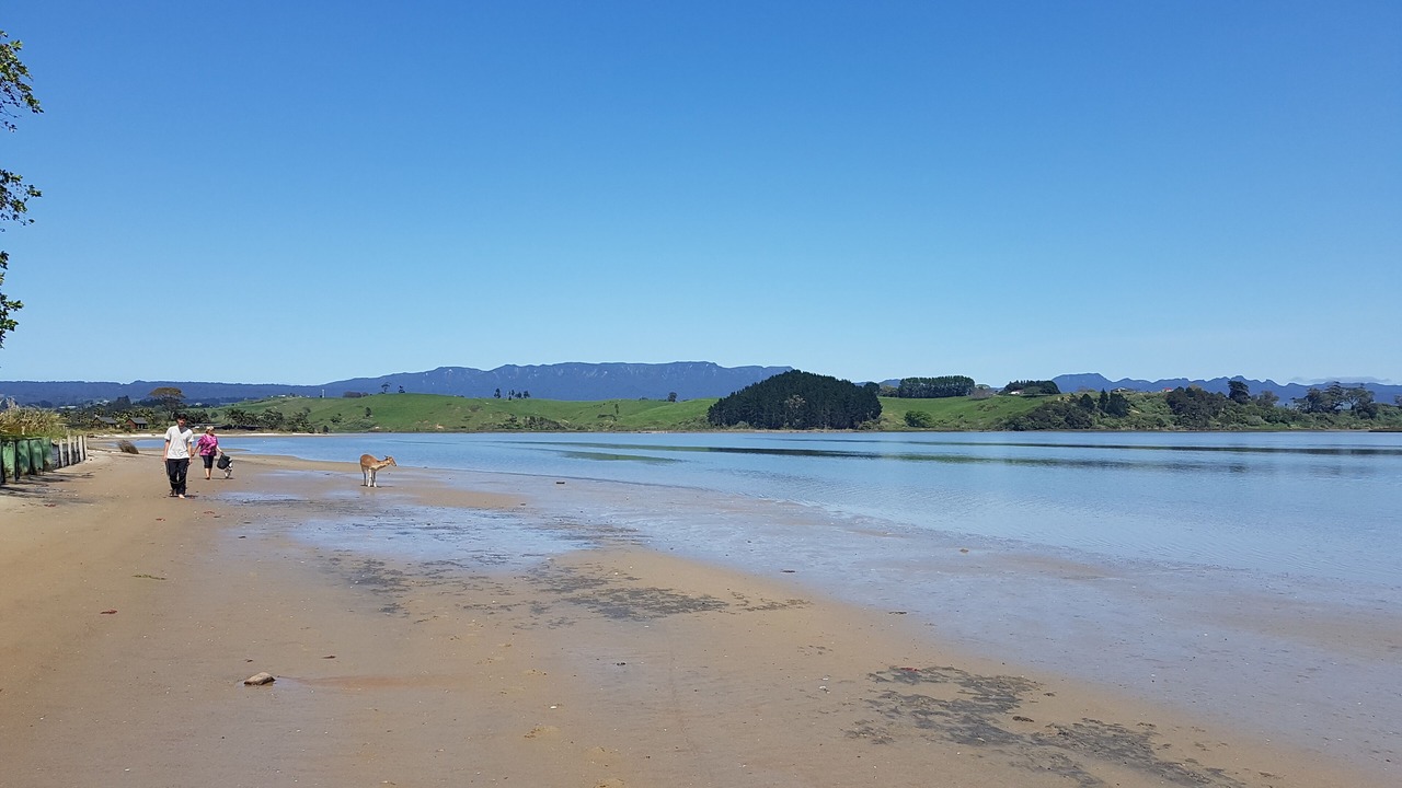 Photo of Others in Whakamarama