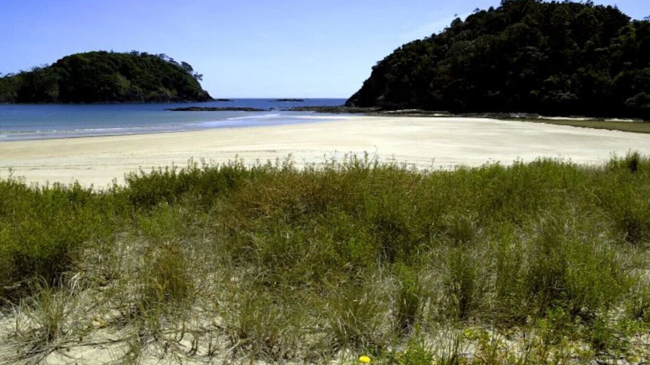 Photo of Others in Matapouri