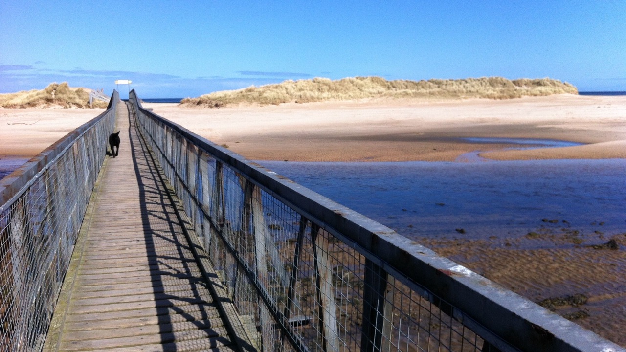 Photo of Others in Lossiemouth