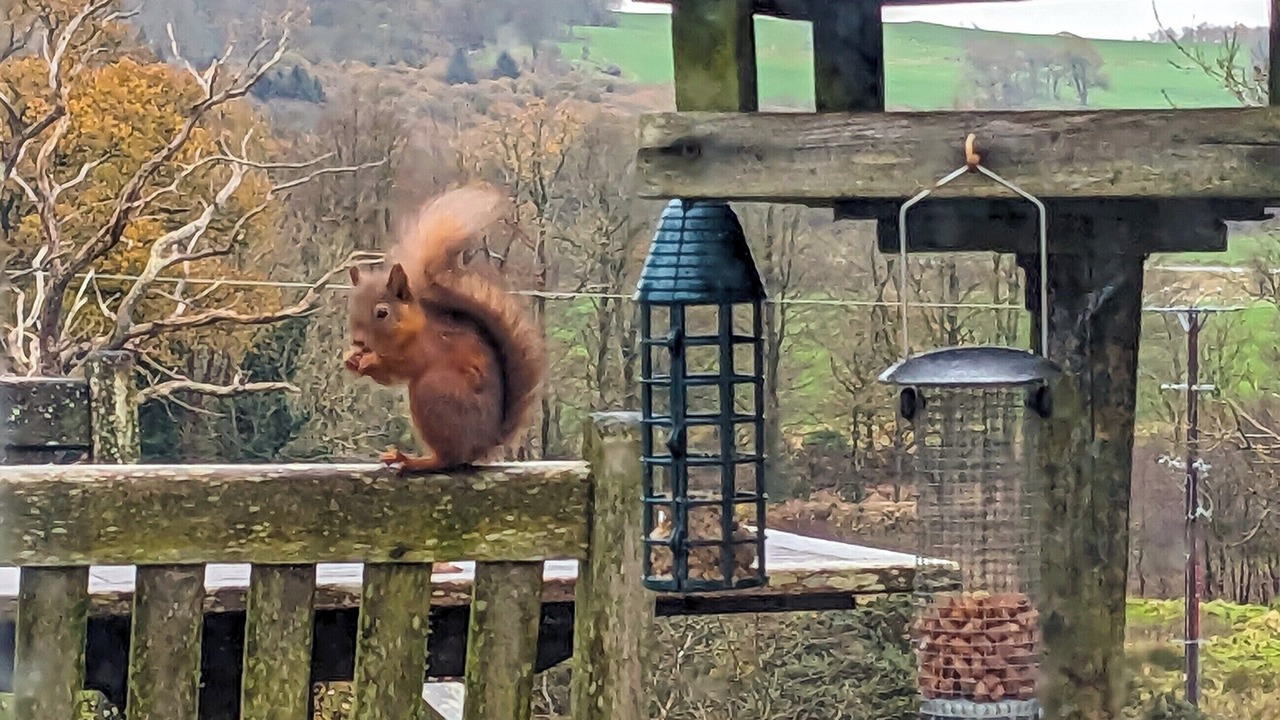 Photo of Others in Gatehouse-of-Fleet