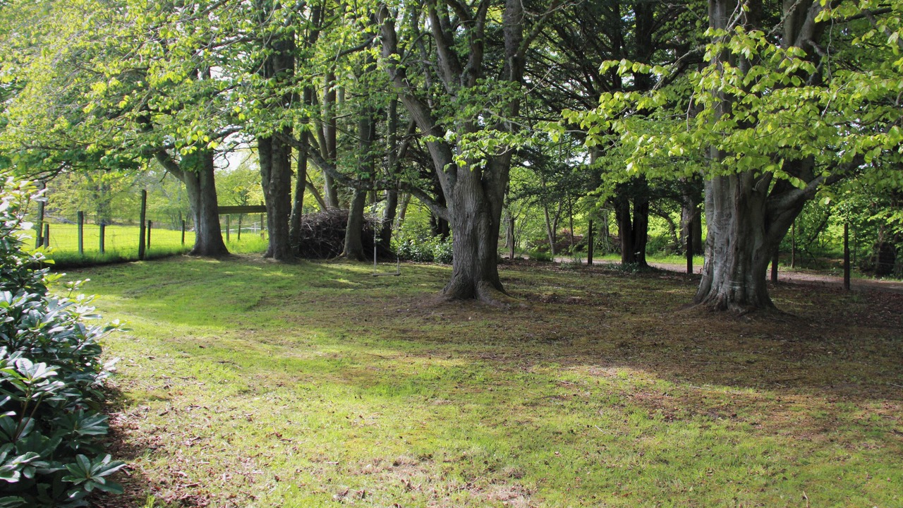 Photo of Outdoor in Invergordon