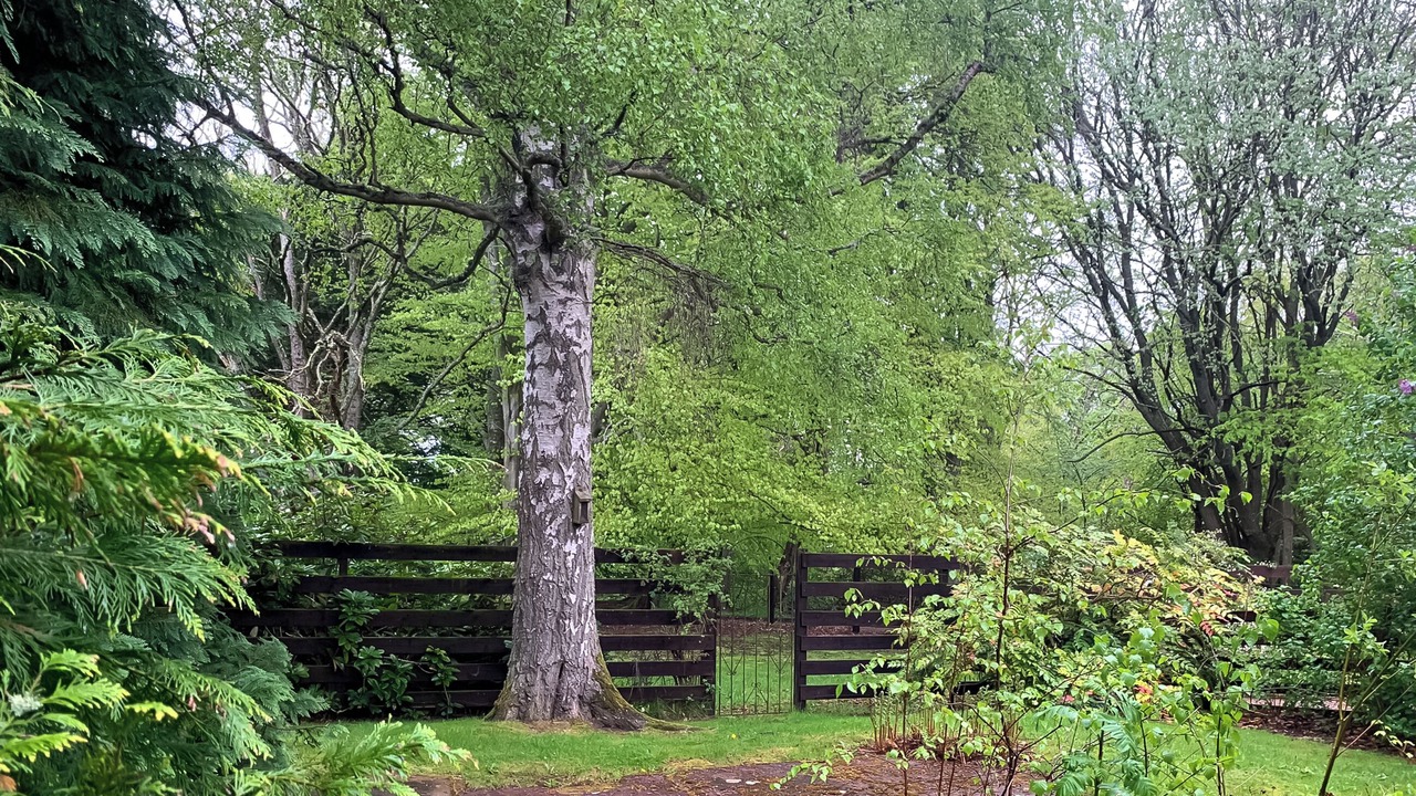 Photo of Outdoor in Invergordon