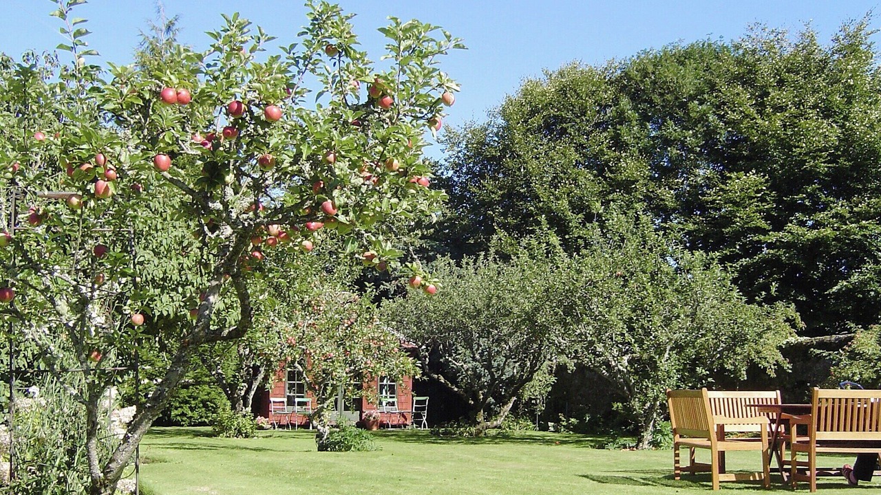Photo of Outdoor in Aberfeldy