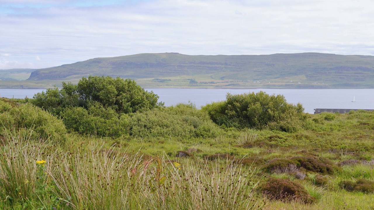 Photo of Others in Colbost