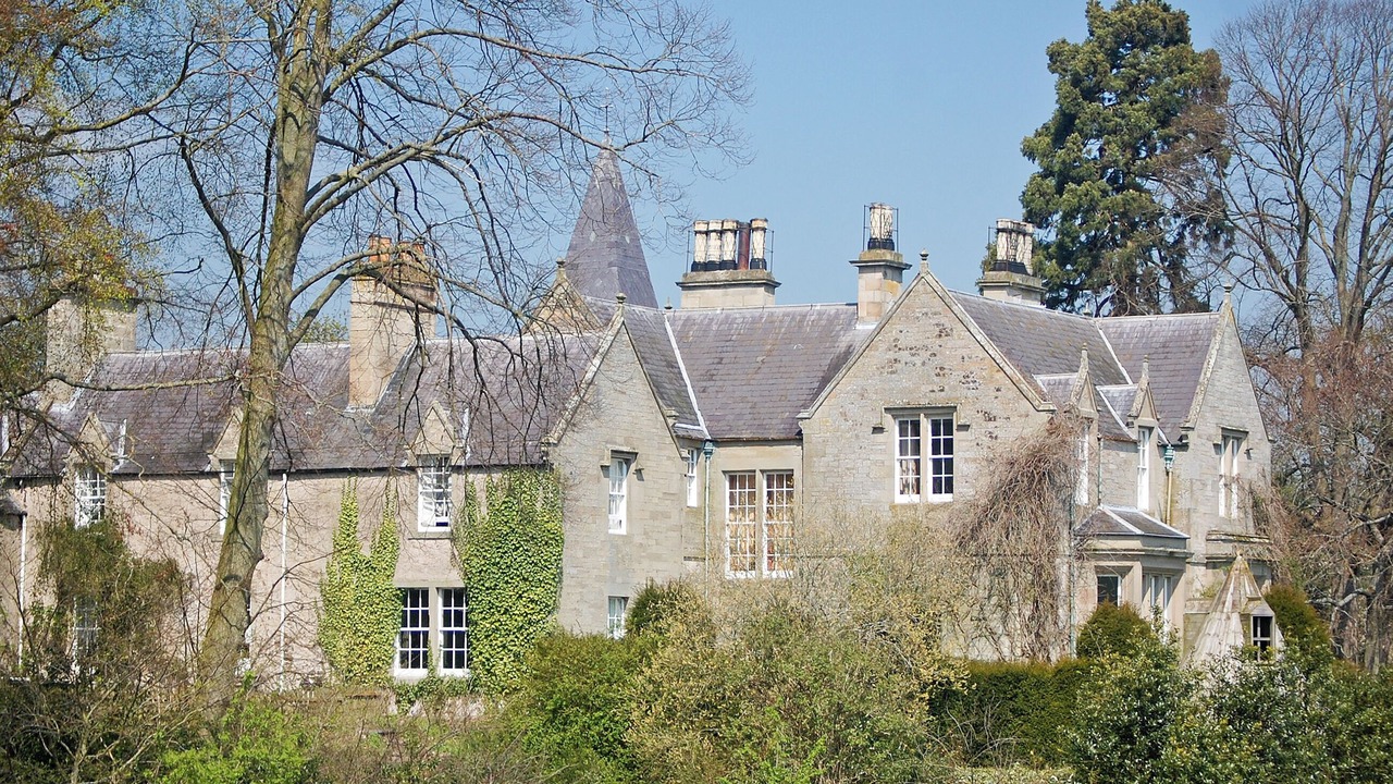 Photo of Others in Kelso