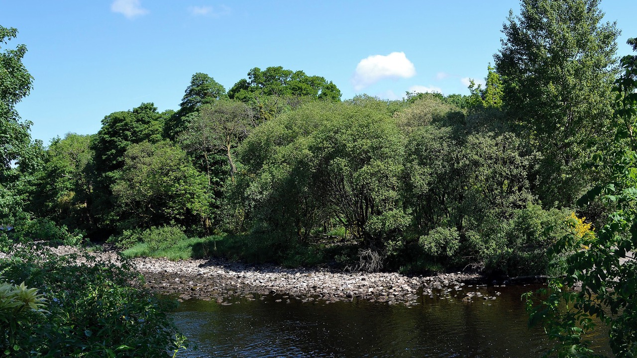 Photo of Others in Newton Stewart