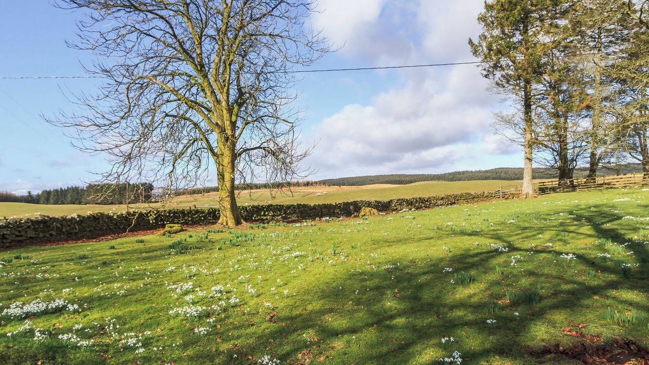 Photo of Outdoor in Castle Douglas