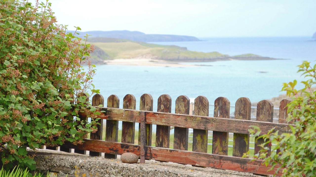 Photo of Others in Talmine
