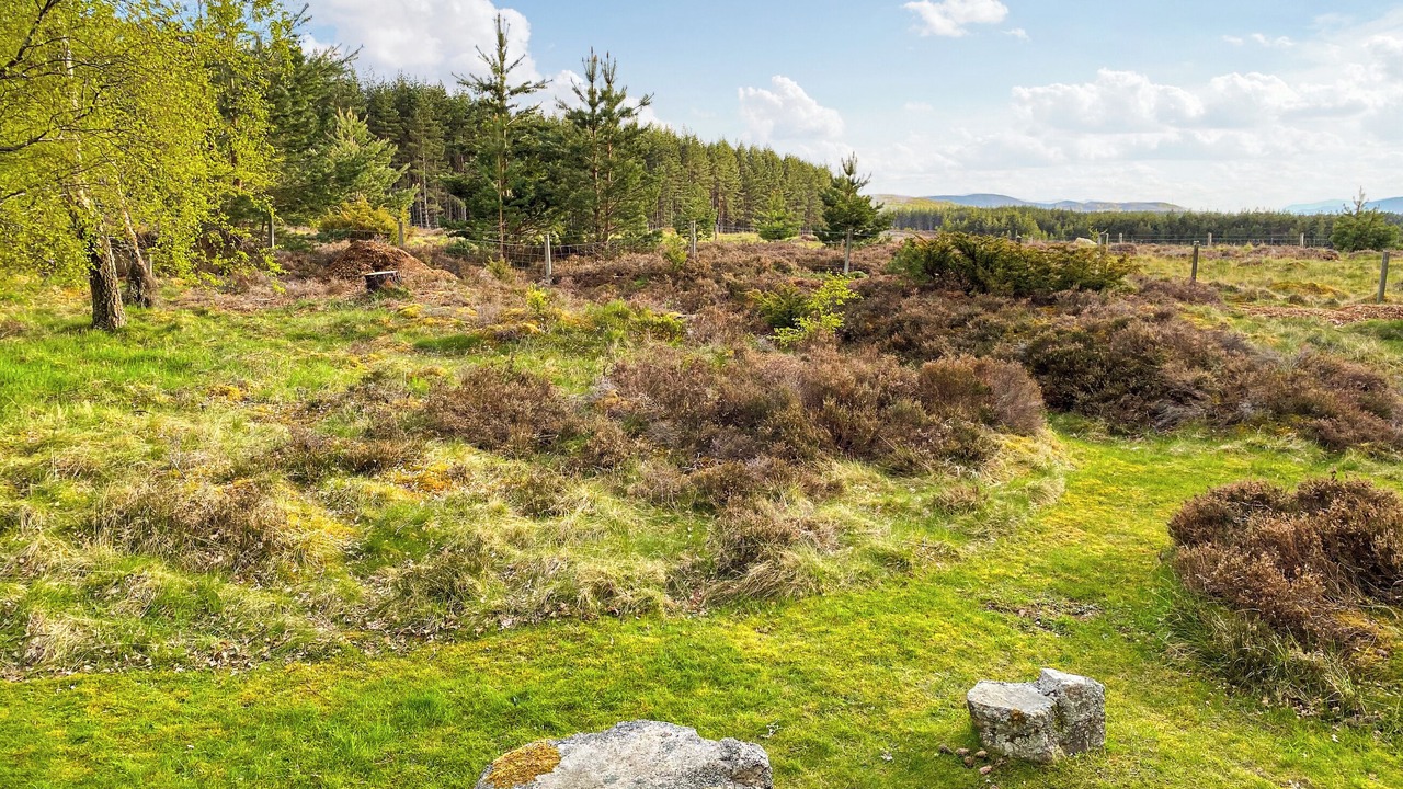 Photo of Others in Kingussie