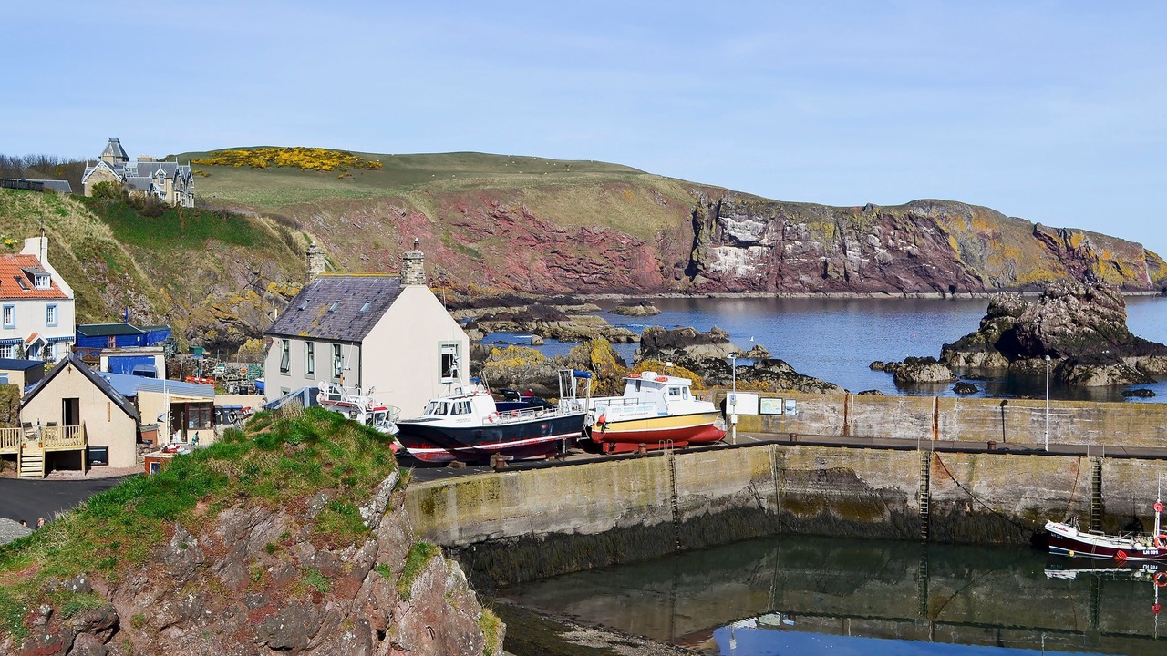 Photo of Others in St Abbs