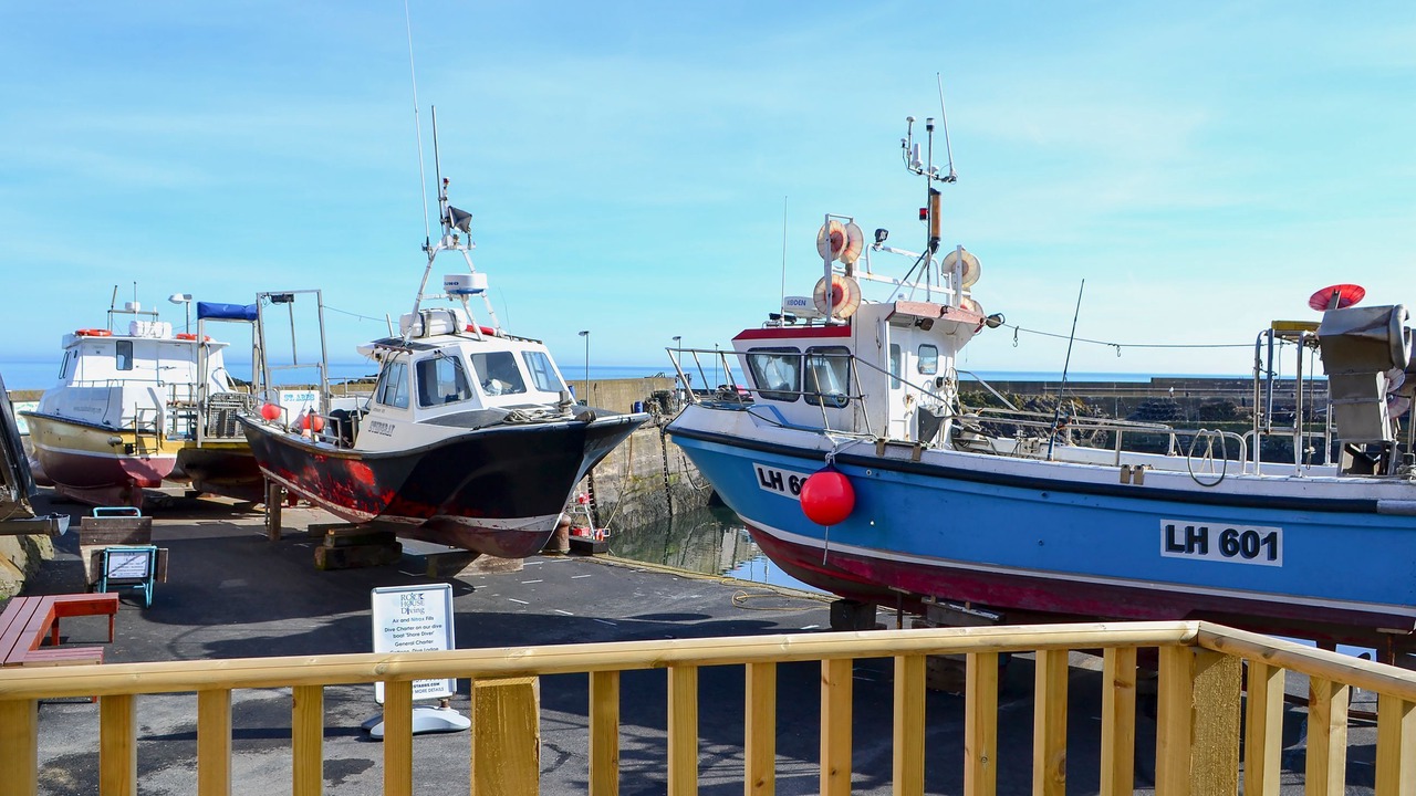 Photo of Others in St Abbs