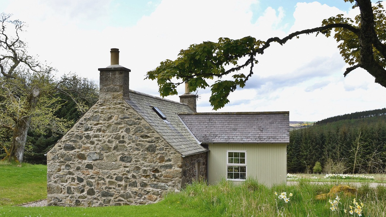 Photo of Outdoor in Huntly