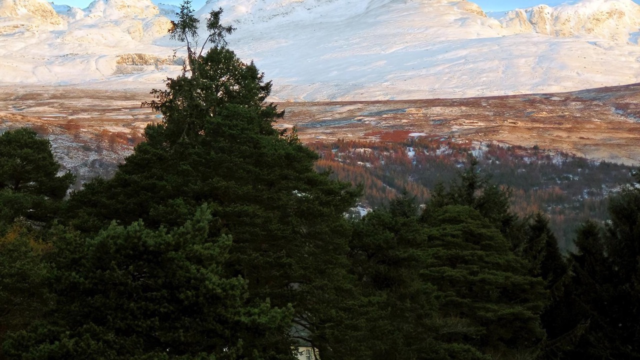 Photo of Others in Killin