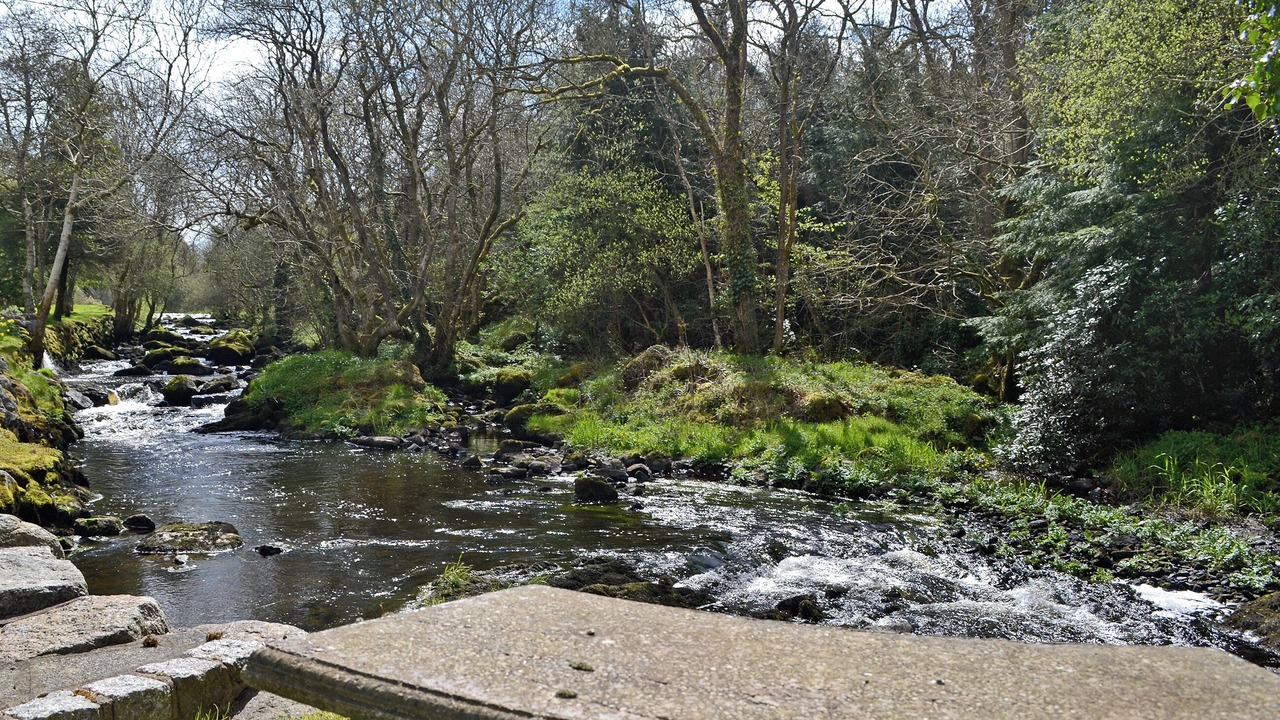 Photo of Others in Dalbeattie