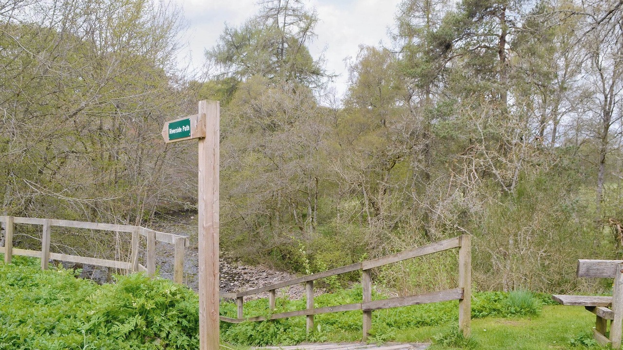 Photo of Others in Blairgowrie