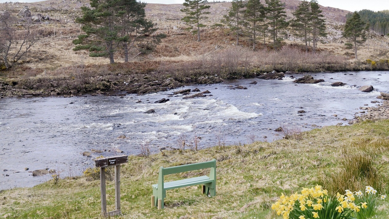 Photo of Others in Lairg