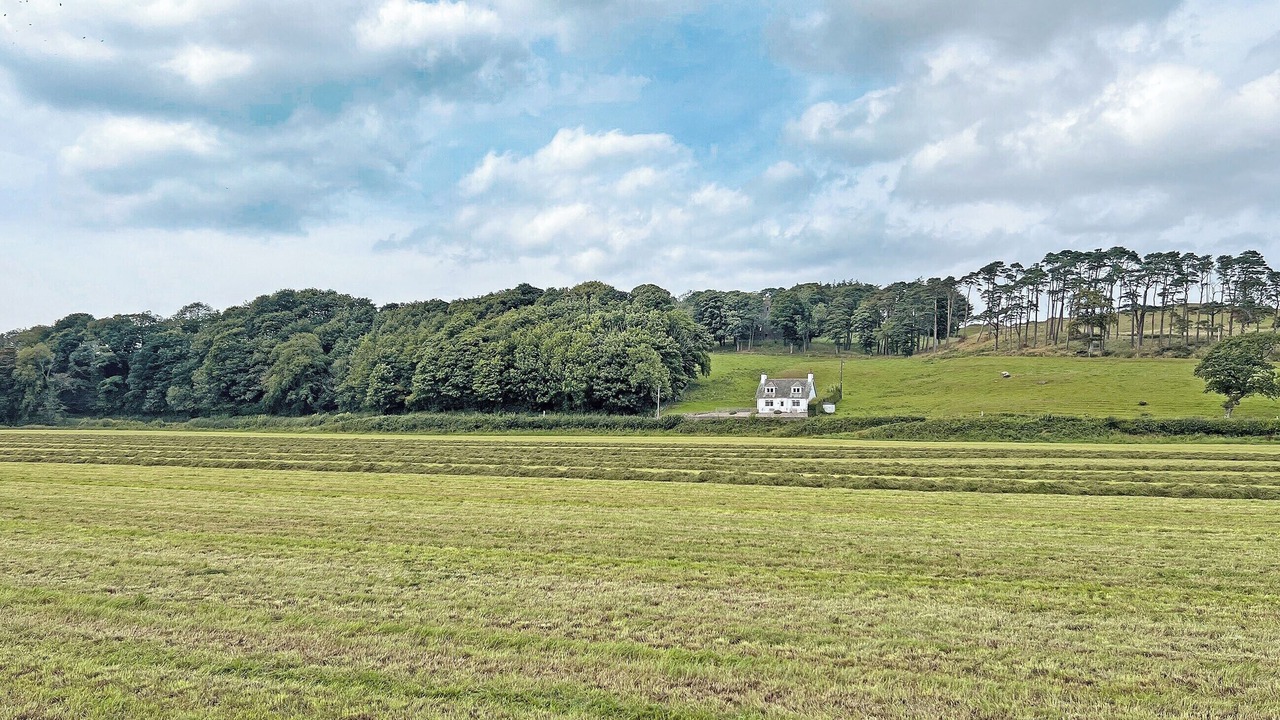 Photo of Others in Ballantrae