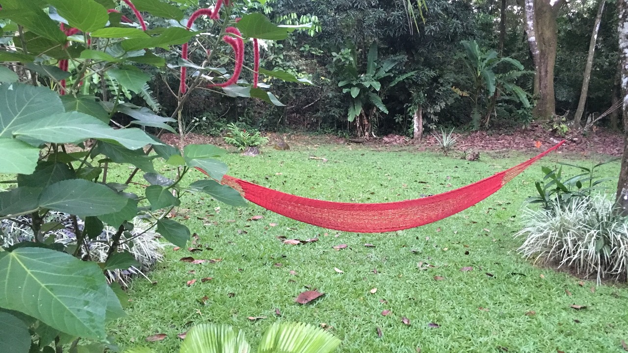 Photo of Outdoor in Playa Tortuga