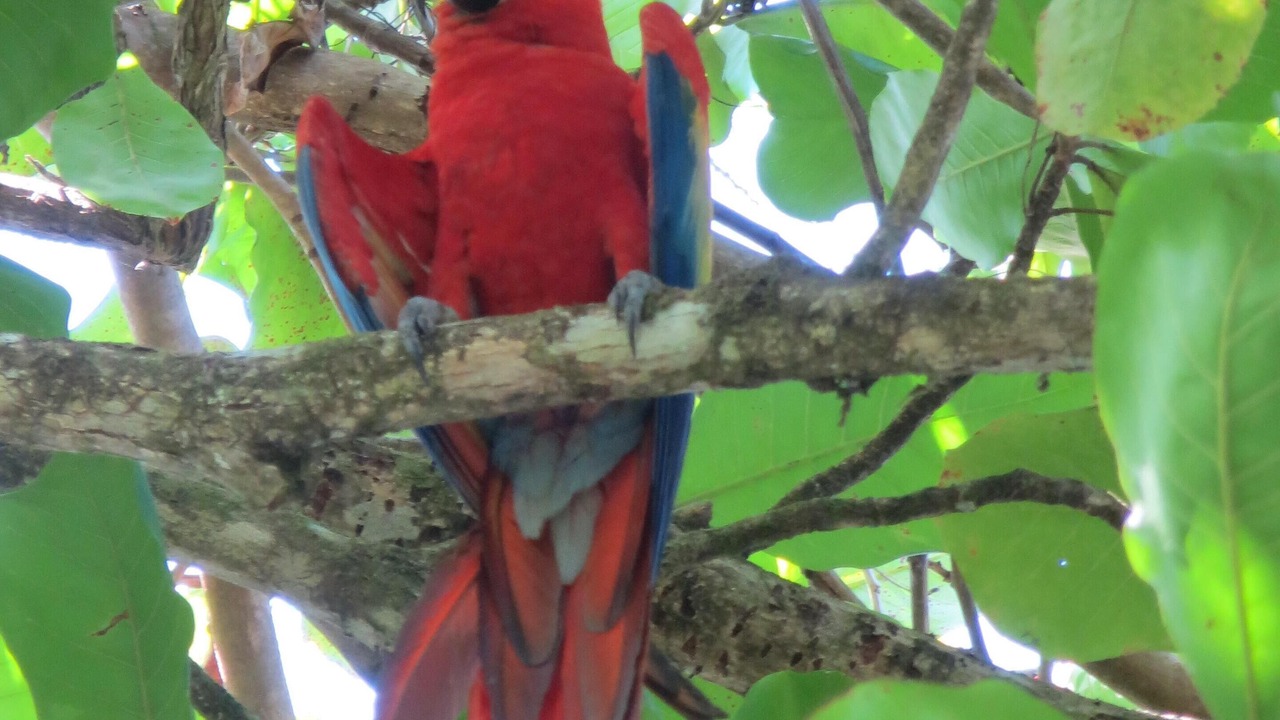 Photo of Outdoor in Playa Tortuga
