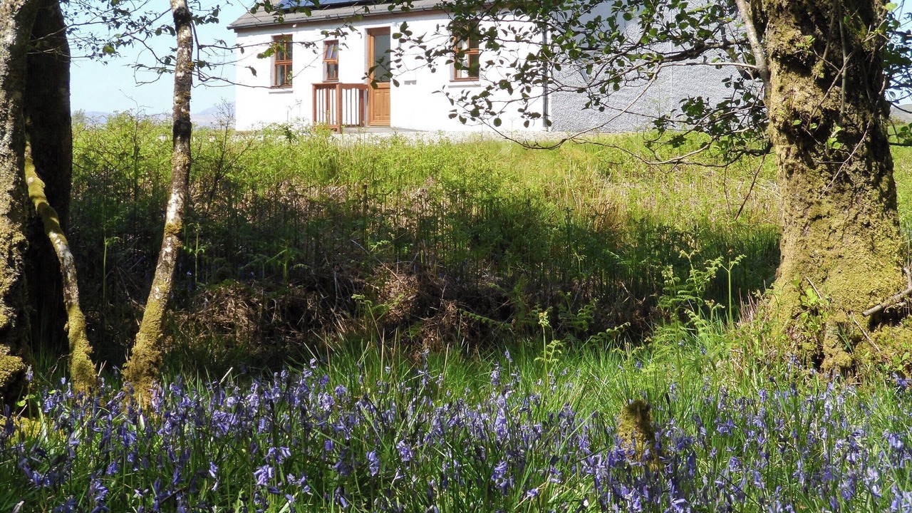 Photo of Outdoor in Lochgilphead