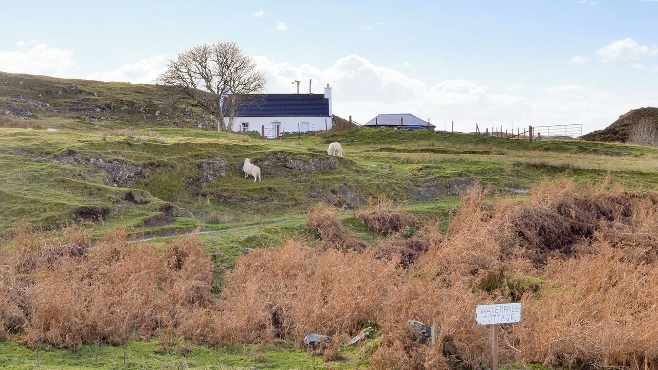 Photo of Others in Colbost