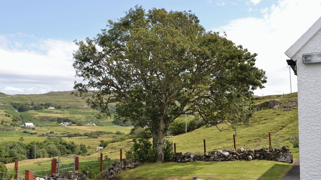 Photo of Outdoor in Colbost