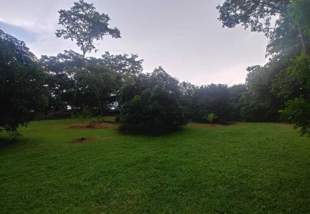 Photo of Outdoor in Cerro Plano