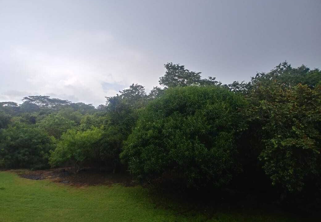 Photo of Outdoor in Cerro Plano