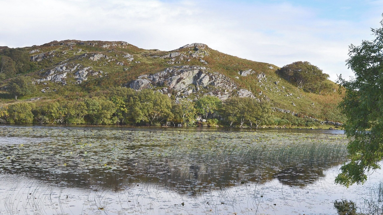 Photo of Others in Drumbeg