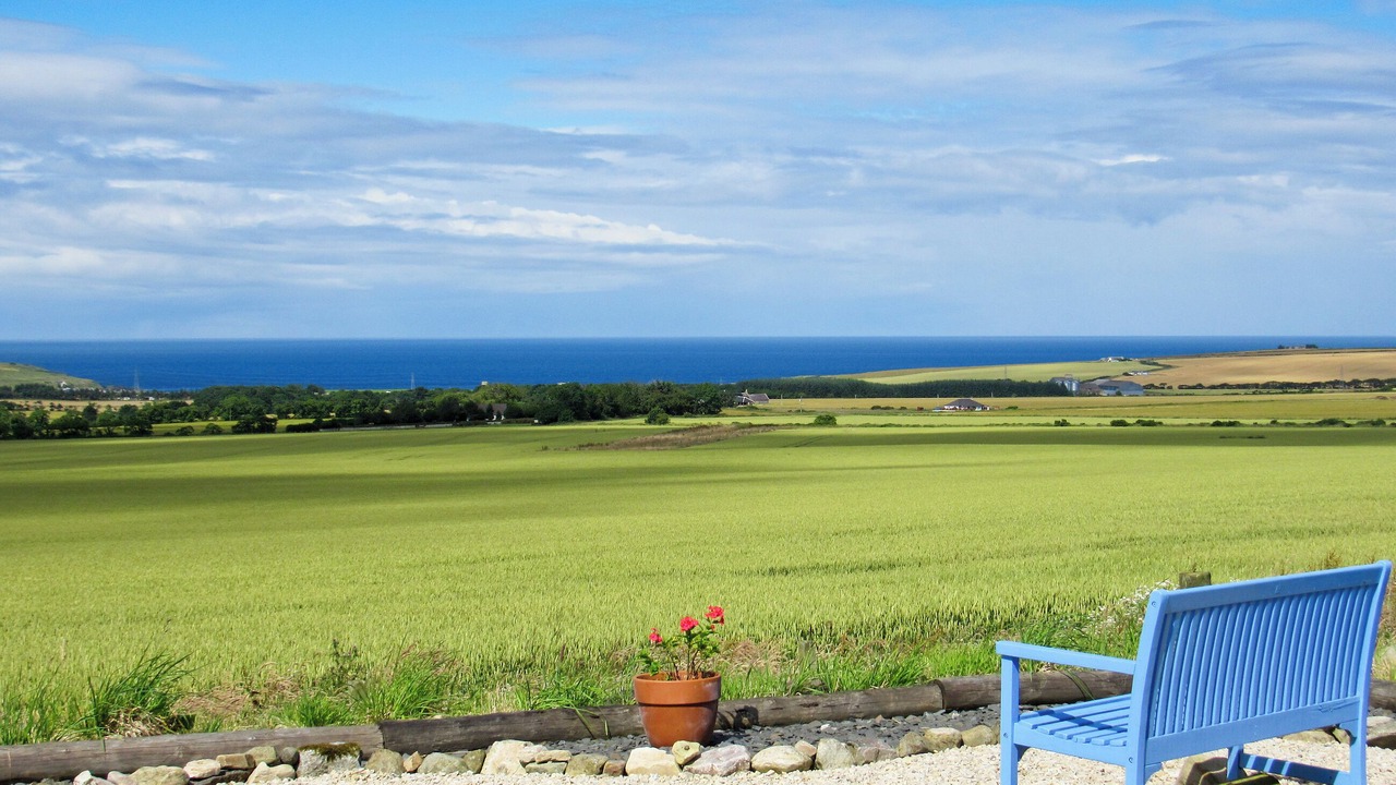 Photo of Others in Fordyce